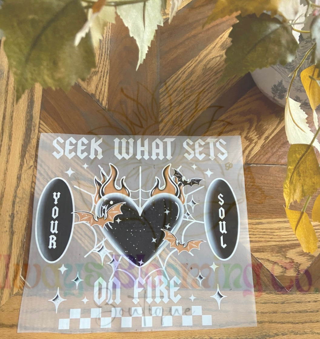 Seek What Sets Your Soul On Fire