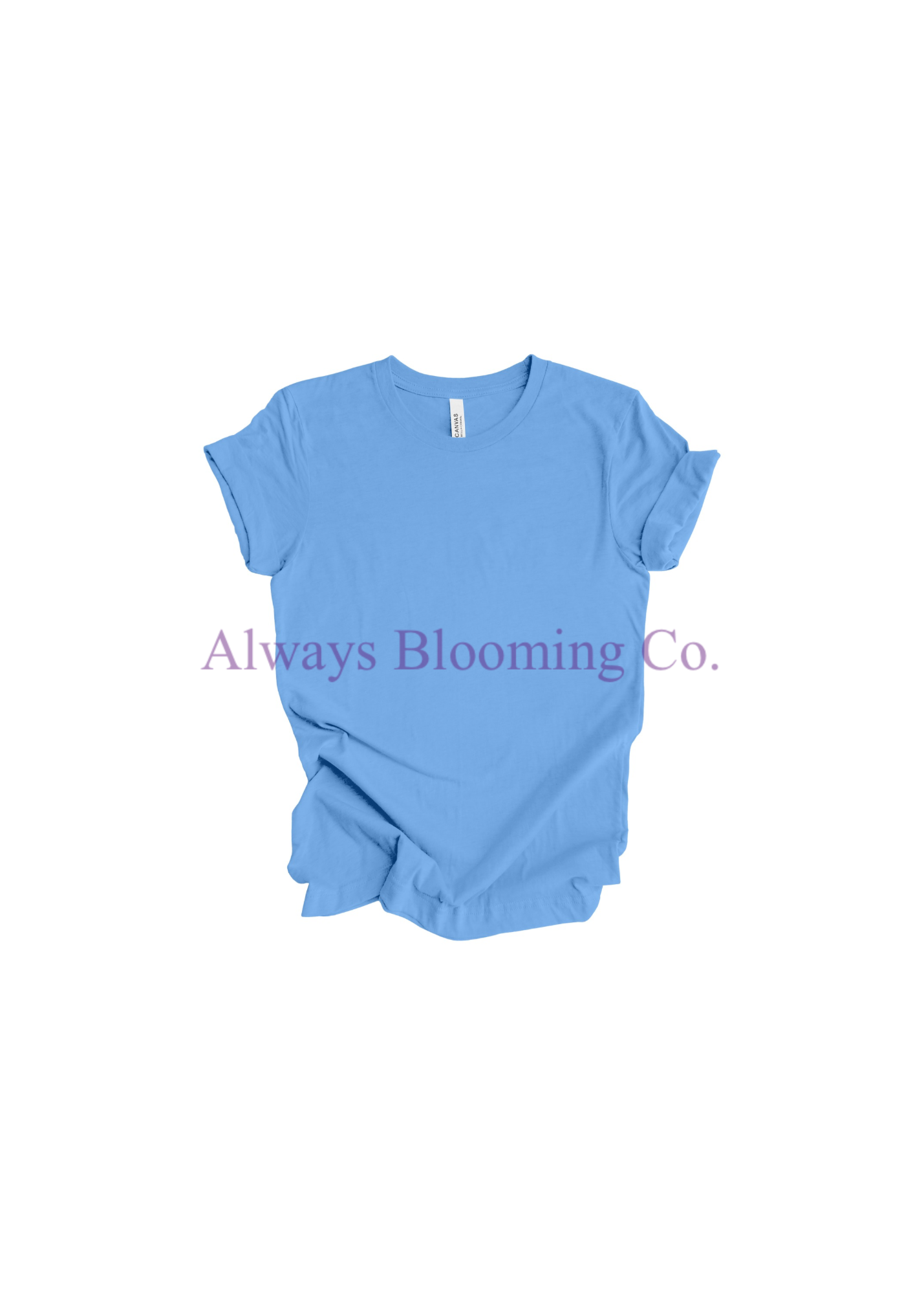 Bella+Canvas Carolina Blue Tee