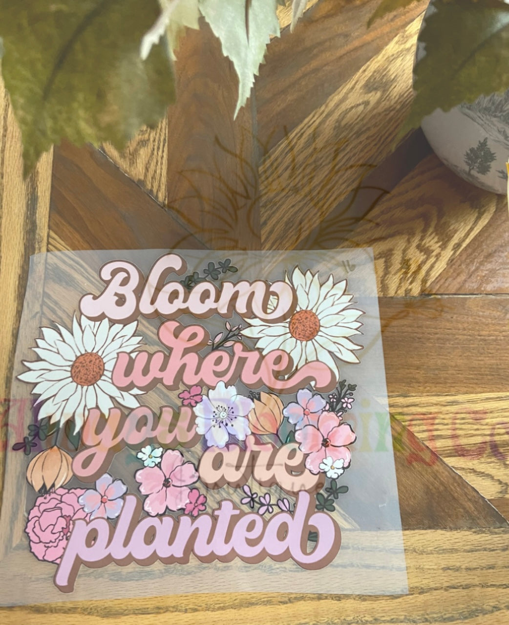 Bloom Where You Are Planted