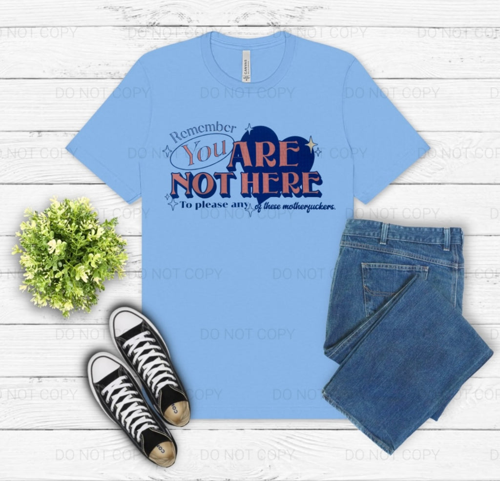 Bella+Canvas Remember You Are Not Here To Please Any Of These Motherfuckers Pre-Printed Tee