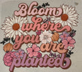 Bloom Where You Are Planted