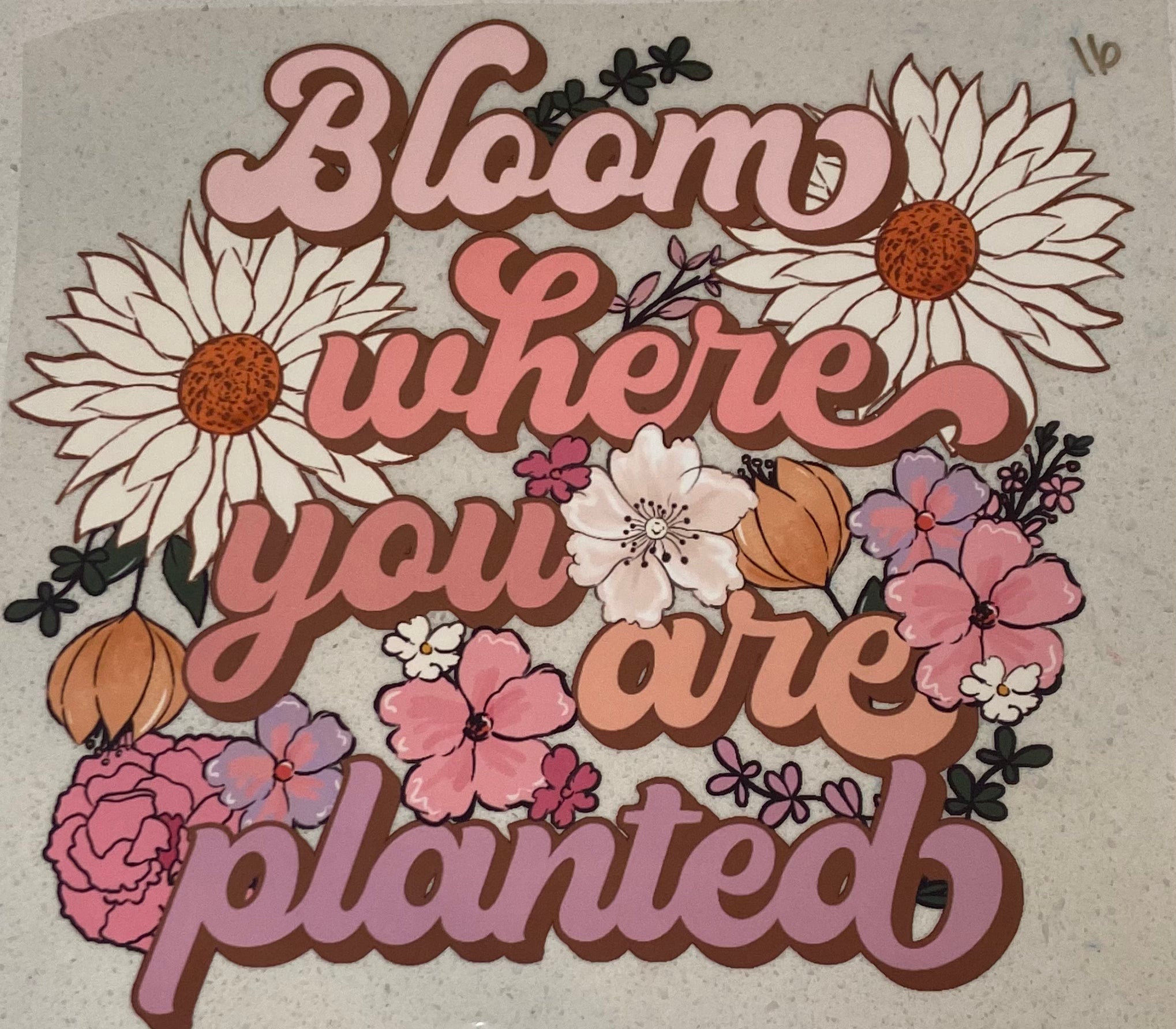 Bloom Where You Are Planted