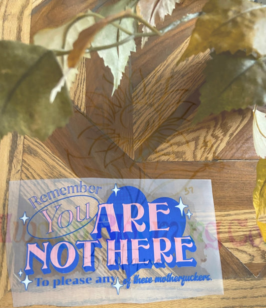 Remember You Are Not Here…