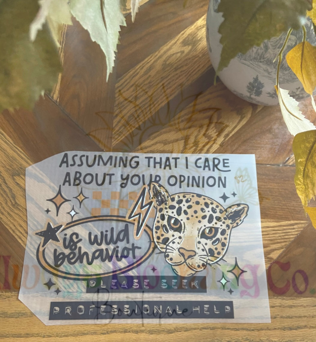 Assuming That I Care…