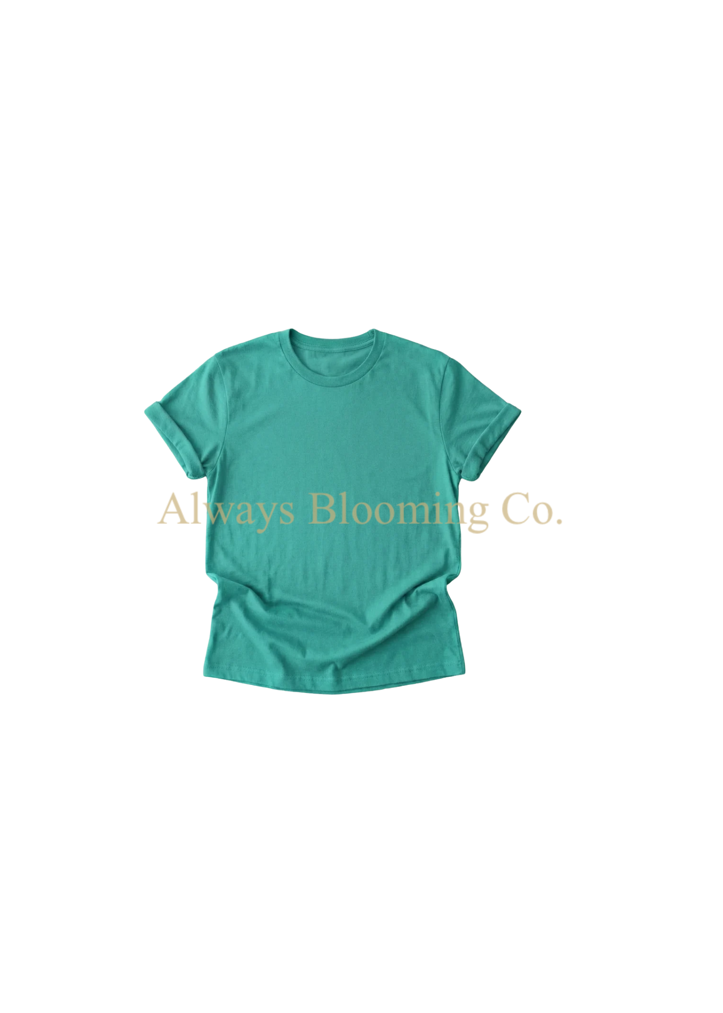 Bella+Canvas Teal Tee